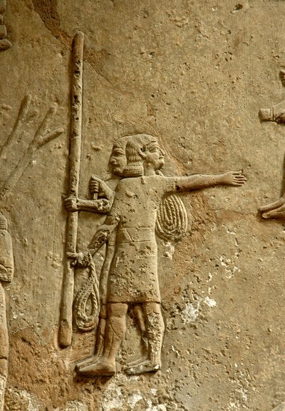 Relief Depicting a Construction Site, Ashurbanipal